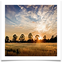 Cheshire Sunset - Des Hawley.jpeg